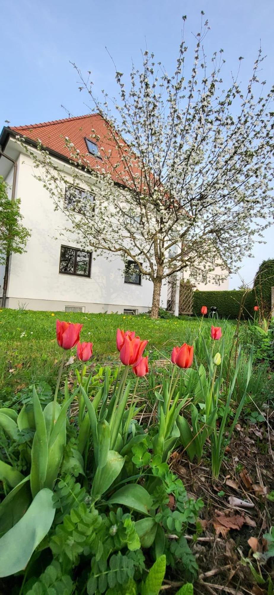 Allgaeu Retreat Bad Wörishofen Kültér fotó